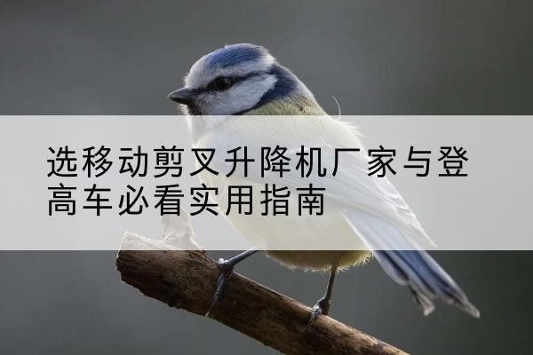 郫都电动升降机厂家-选移动剪叉升降机厂家与登高车必看实用指南