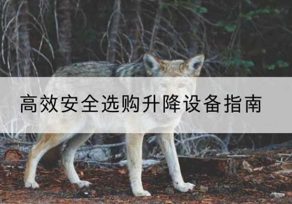 郫都升降货梯厂家推荐-*安全选购升降设备指南