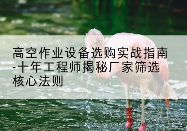 郫都剪叉式升降机厂家-高空作业设备选购实战指南-十年工程师揭秘厂家筛选核心法则